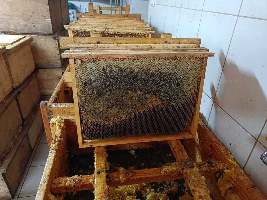 MIÓD WIELOKWIAT beczka -15zł/kg-290 kg - Polski wielokwiatowy -odmiany