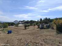Propriedade com Casa em Ruínas + Palheiro e Terreno Amplo de 21750m²