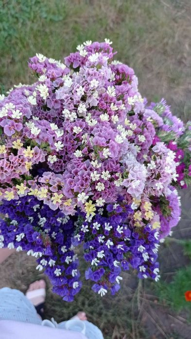 Квіткова композиція із сухоцвітів у подарунковому кошику