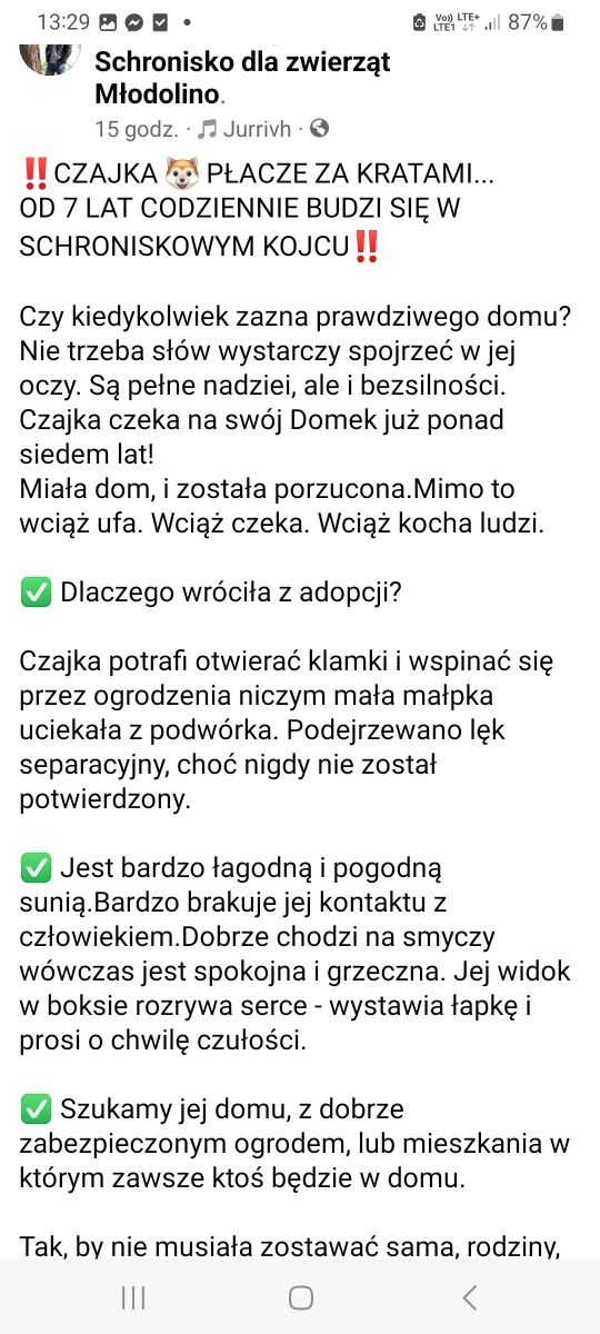 Suczk szuka.fsjnych ludzi