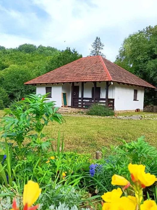 Здається будинок на Закарпатті подобово