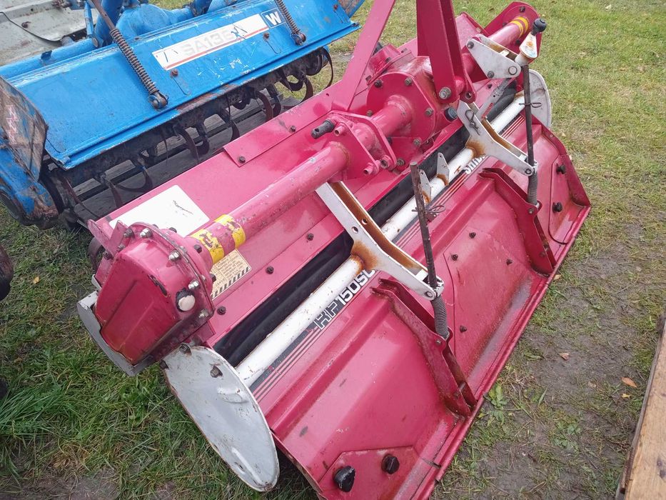 Glebogryzarka Japońska Szer 1.55 cm.