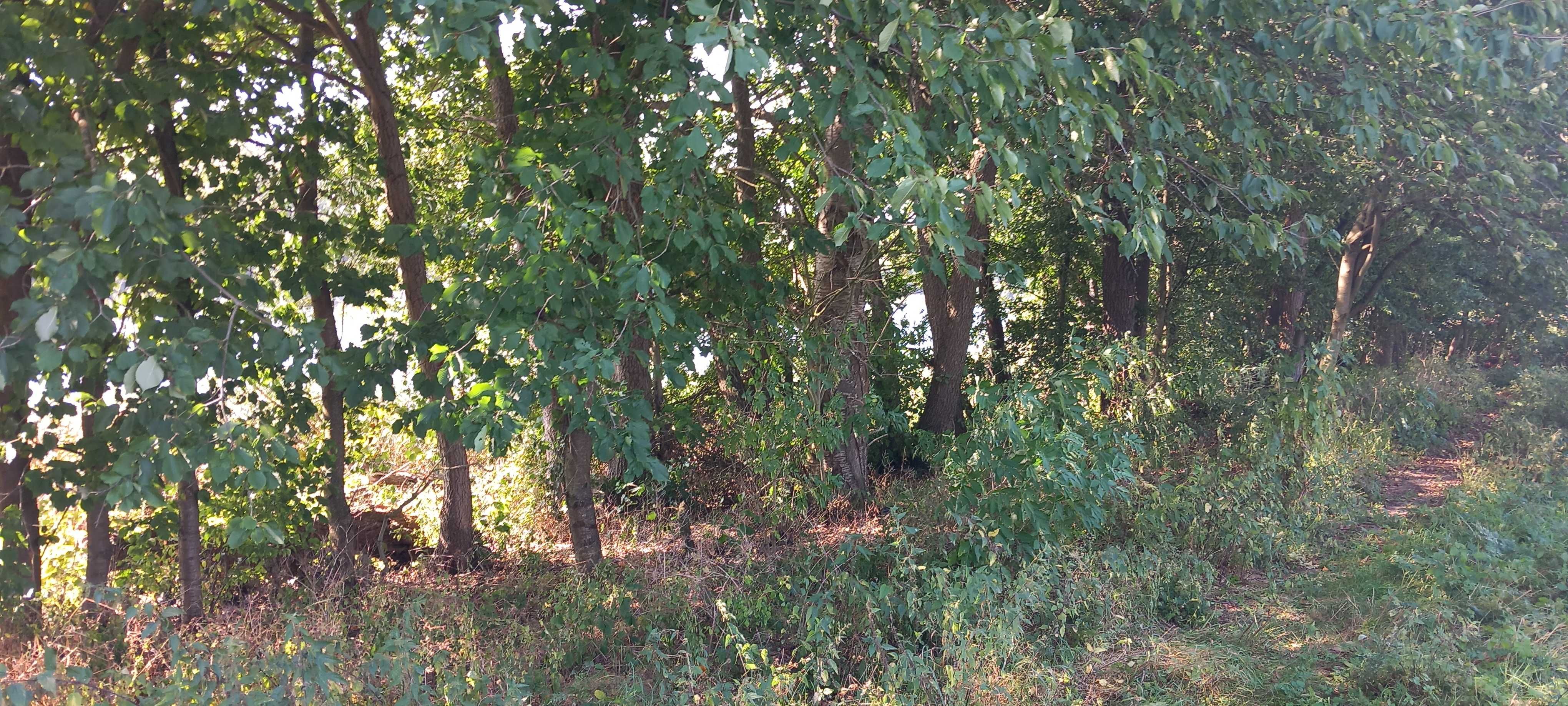 sprzedam działkę z dostępem do jeziora
