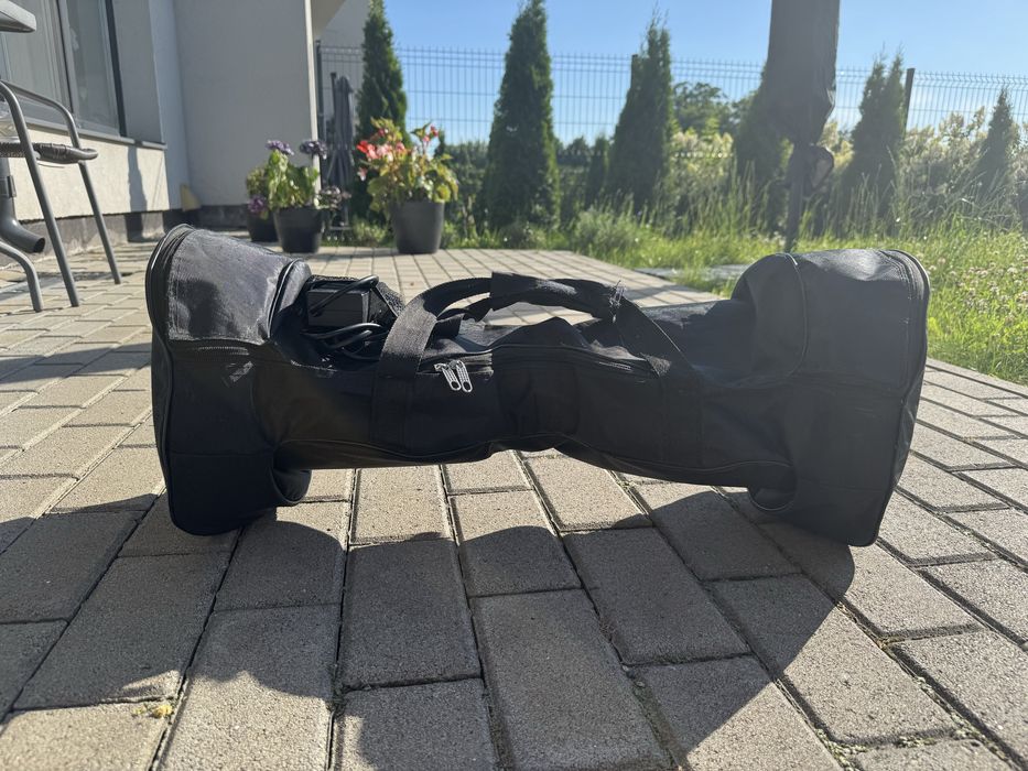 Гіроборд Smart Balance 10.5 Тao Tao Вогонь і Лід