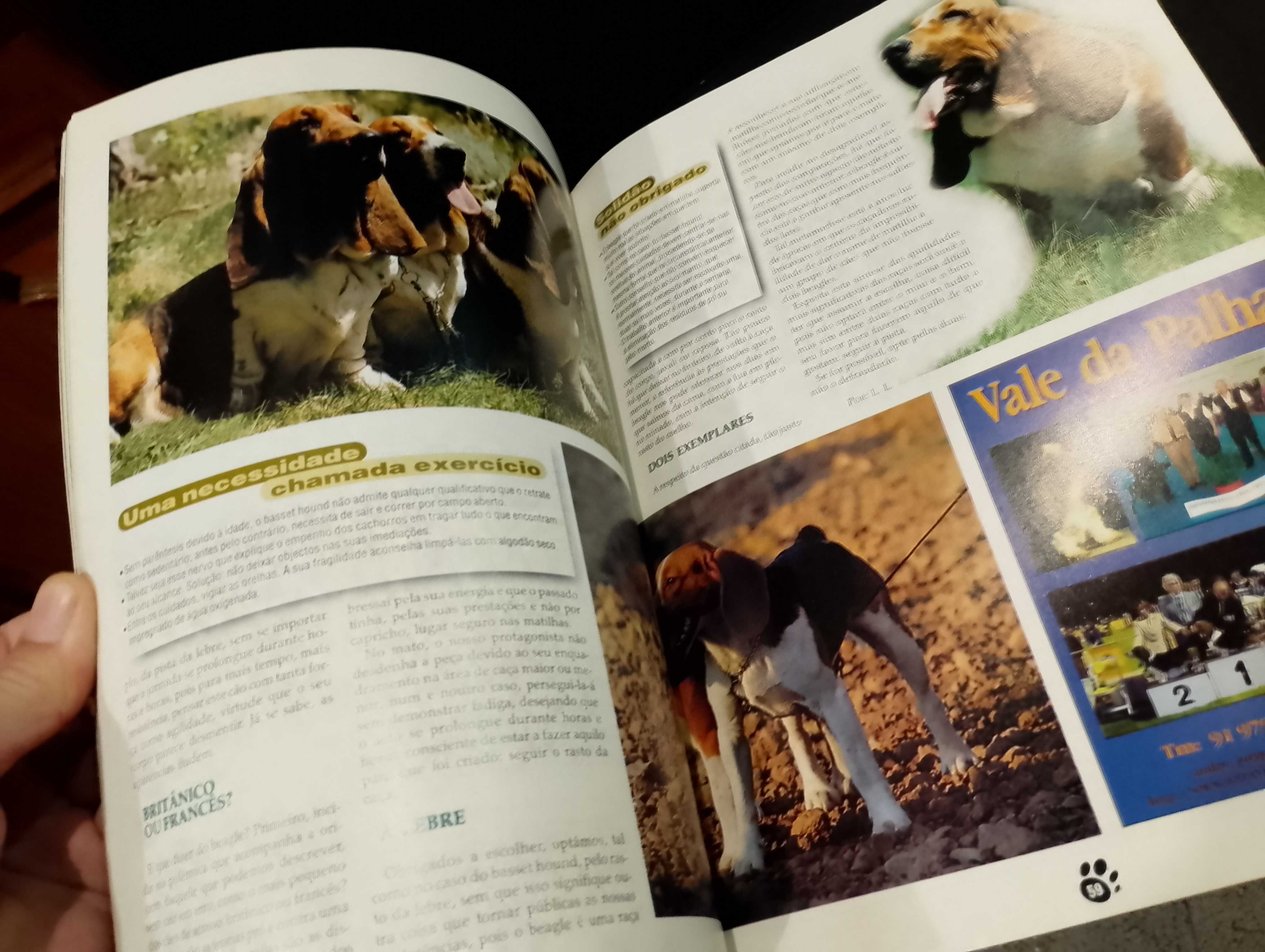 Revista nº1 Anuário 2000 Especial Cães de Caça