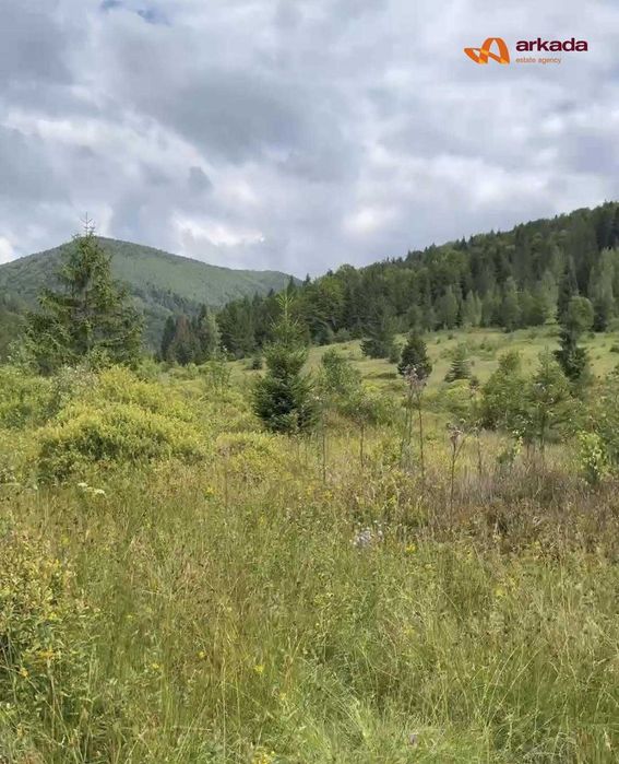 Продається земельна ділянка в с. Стара Гута