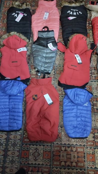 Зимові курточки для маленьких і невеликих песиків.