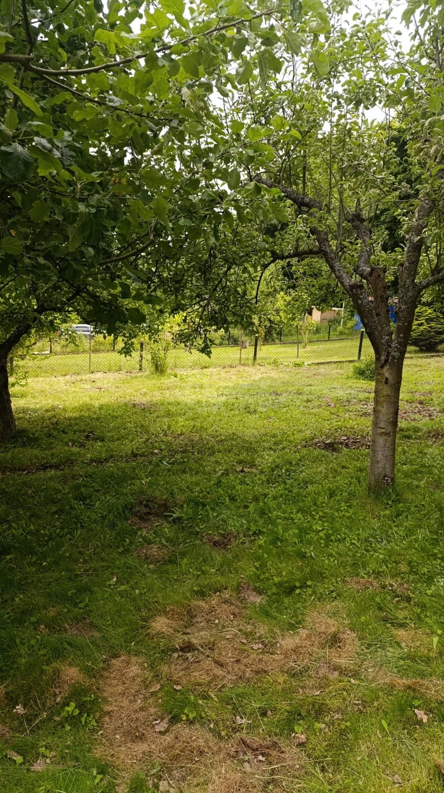 Działka ROD Juszkowo 2 - sprzedam prawa do działki.