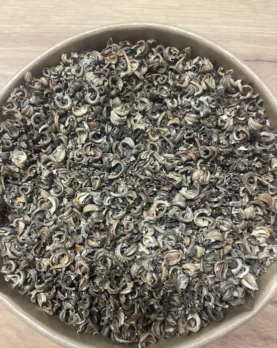 Календула ( нагідки)