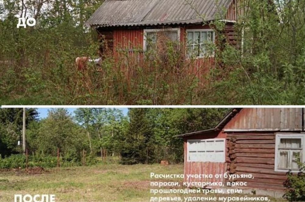 Спил деревьев Обрезка Покос травы Расчистка участка Покос газона