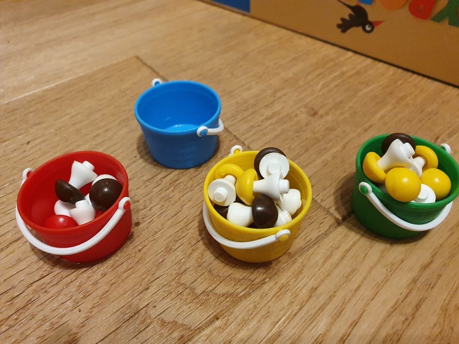 Grzybobranie w zaczarowanym lesie