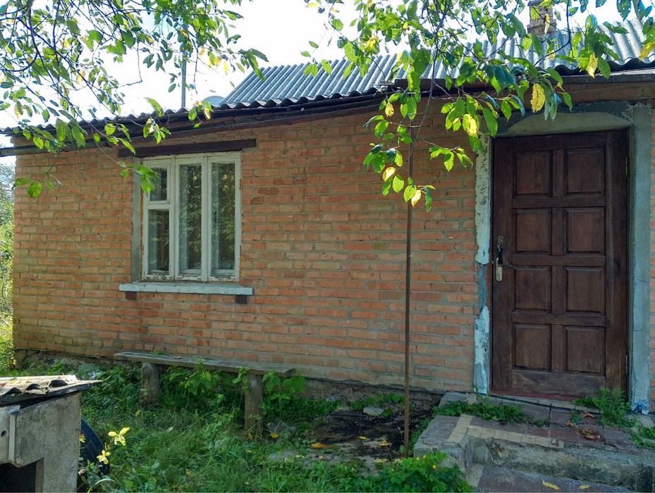 Продам будинок з 10 сотками землі, Борова, від власника!