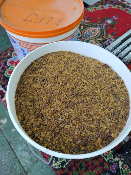 Klej kostny granulat