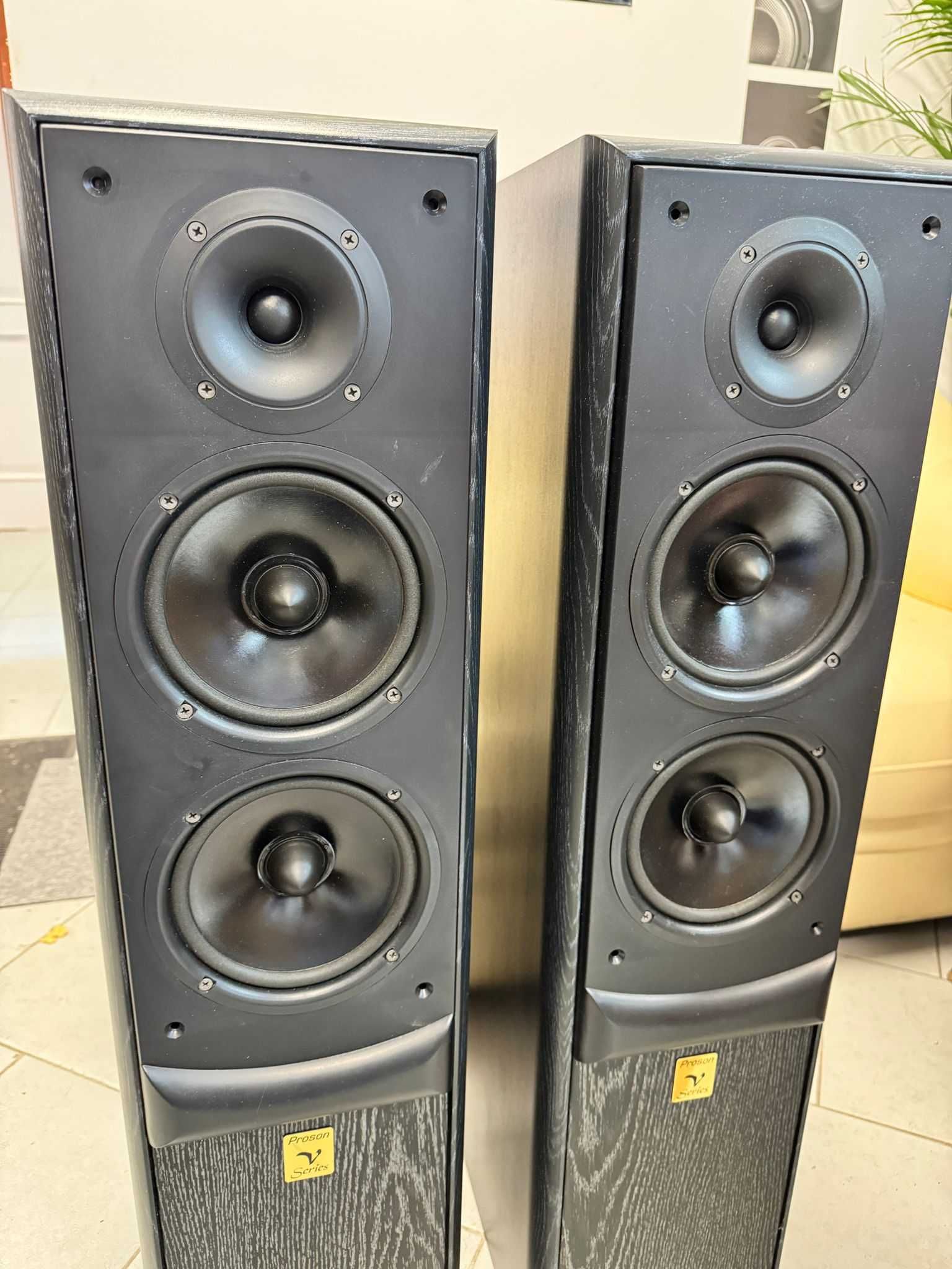 Kolumny głośnikowe PROSON Twin V6