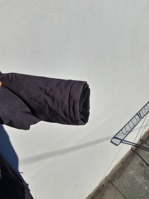 Carpa wellensteyn stravanger