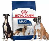 Rações Royal Canin 8, 10, 12 e 15kg