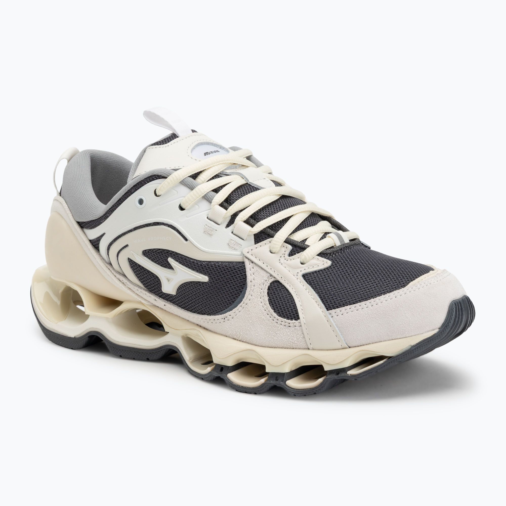 Кроссовки Mizuno Wave Prophecy Beta 2, размер US 11.5 / 45