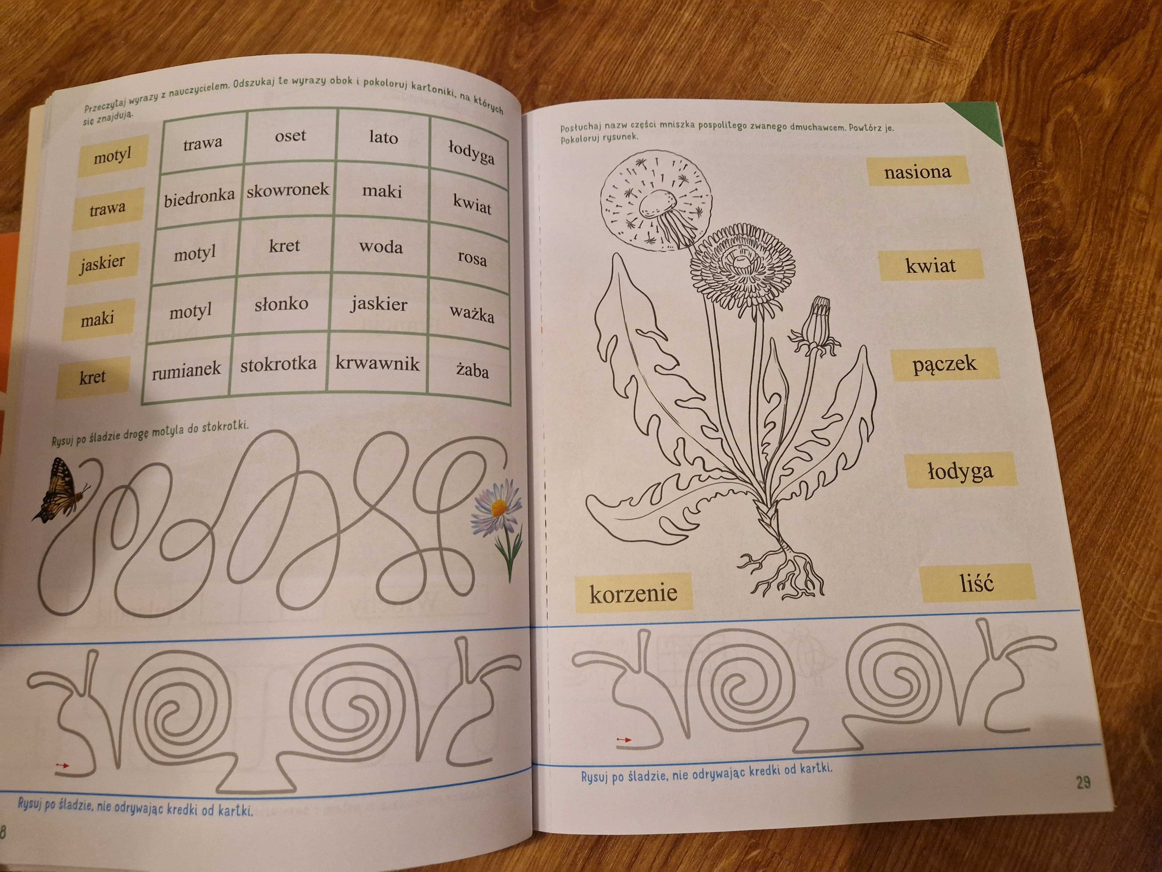 Olek i Ada poziom B karty pracy cz.5 MAC