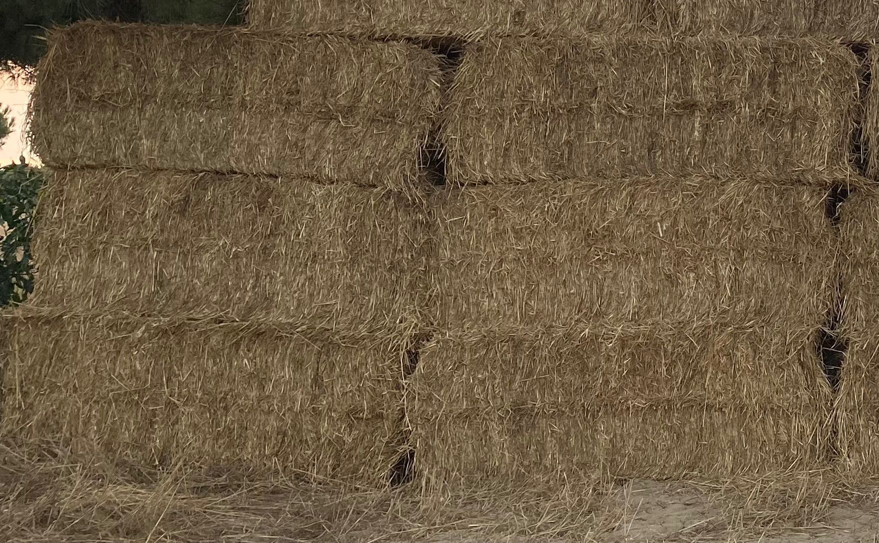 Fardos de palha de trigo