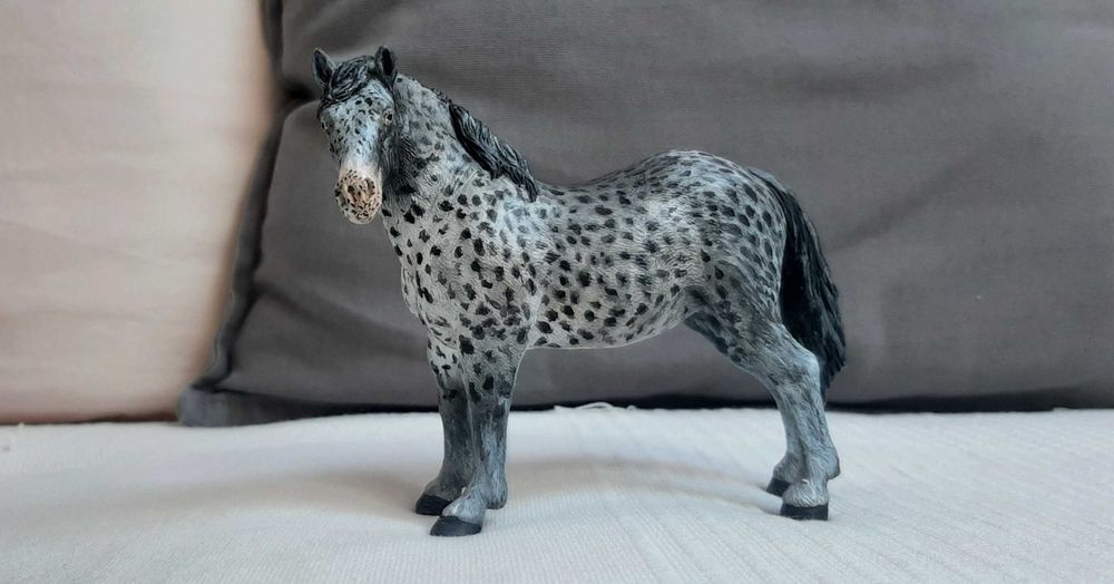 Custom klacz Suffolk Punch Mojo