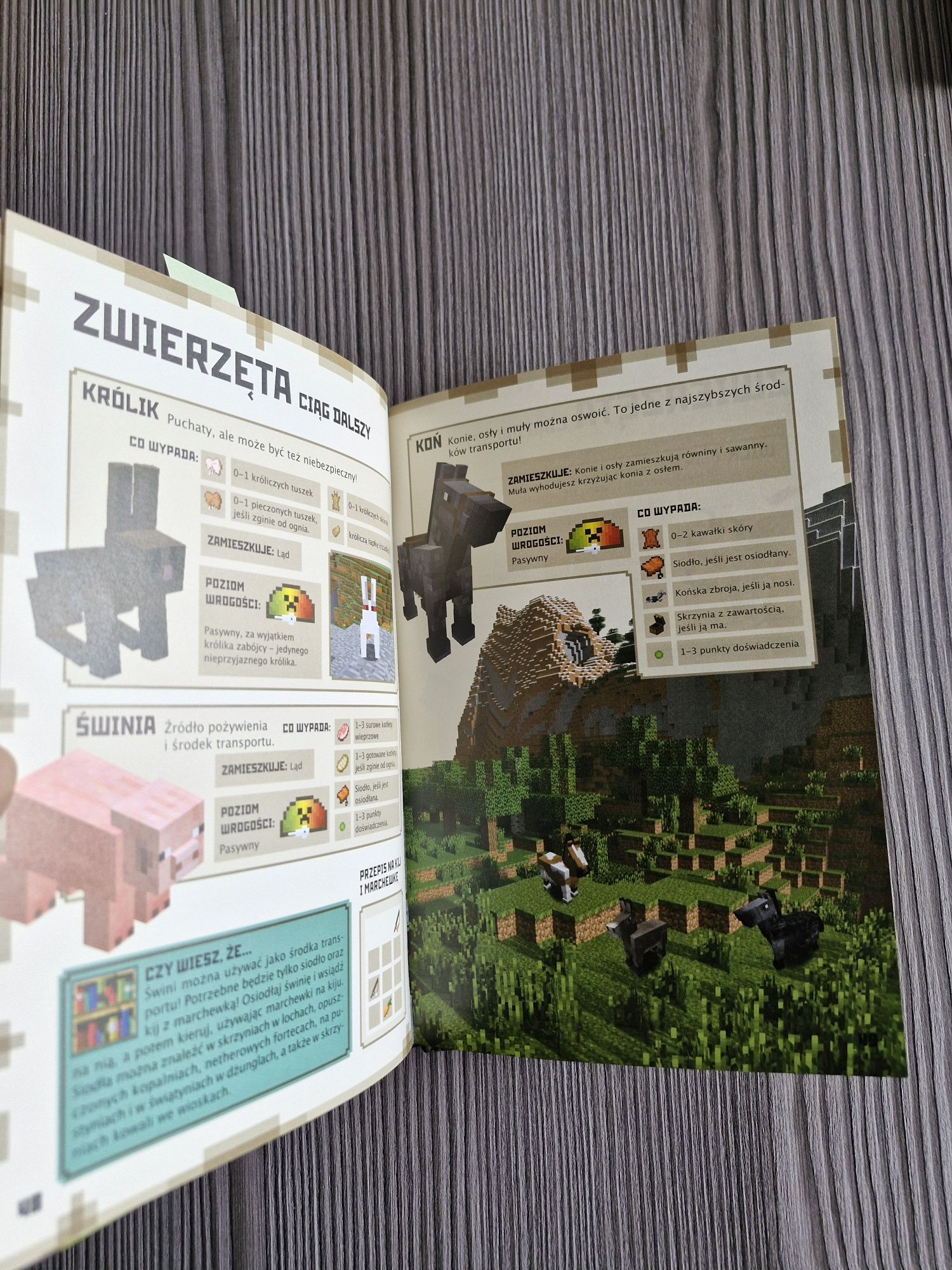 5565. "Minecraft. Poradnik dla początkujących" Uaktualnione