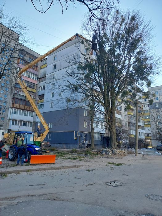 Порізка дерев і косіння трави