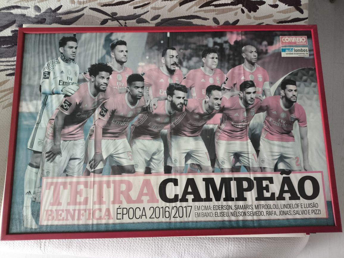 Quadros Benfica Campeão/Bicampeão/tricampeão/Tetracampeão.