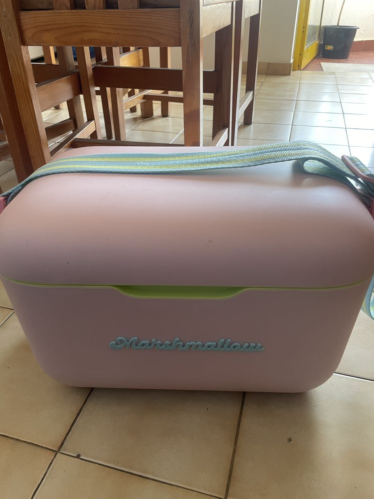 Geleira 21L Rosa Cooler Box