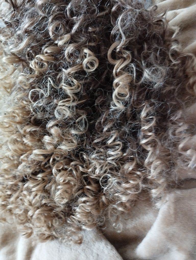 Fantastyczna peruka. Loczki/afro. Naturalny look.