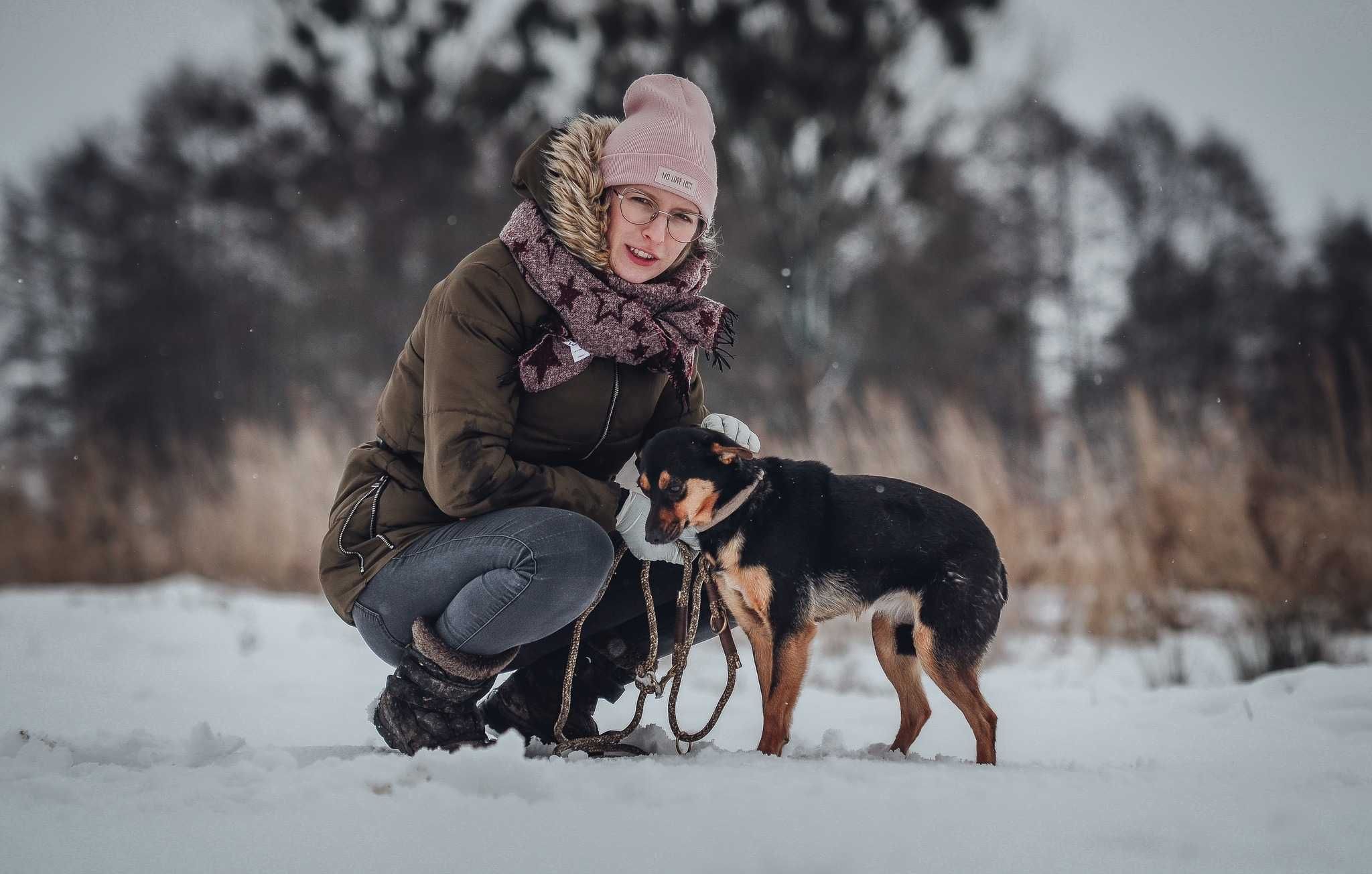 Melcia szuka domu! delikatna suczka do adopcji