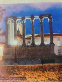 Azuleijo templo Diana Evora
