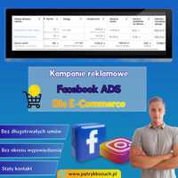 Prowadzenie kampanii reklamowych Facebook ADS (FB/IG)