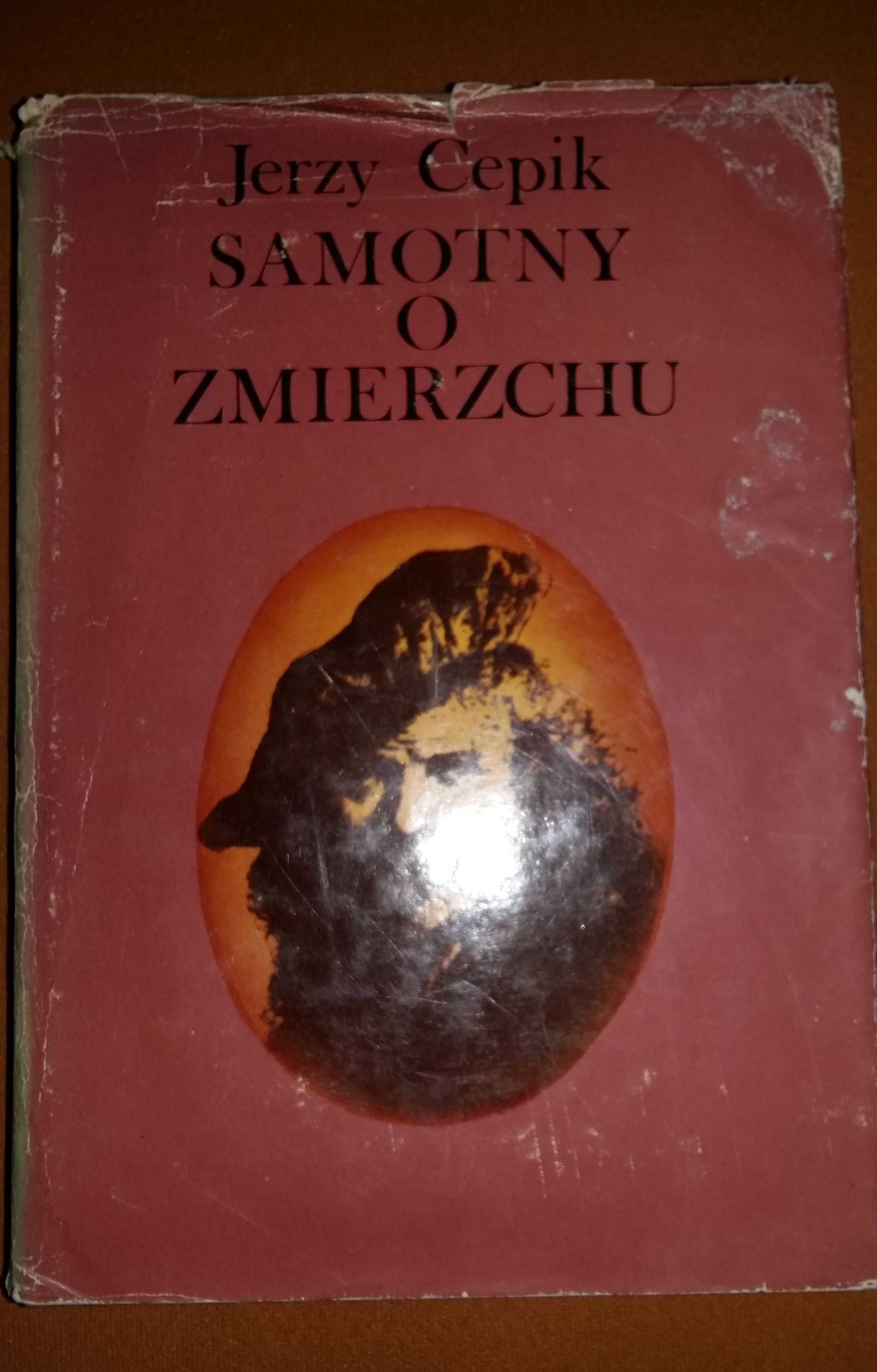 Rembrandt Jerzy Cepik.Seria biografie sławnych ludzi.