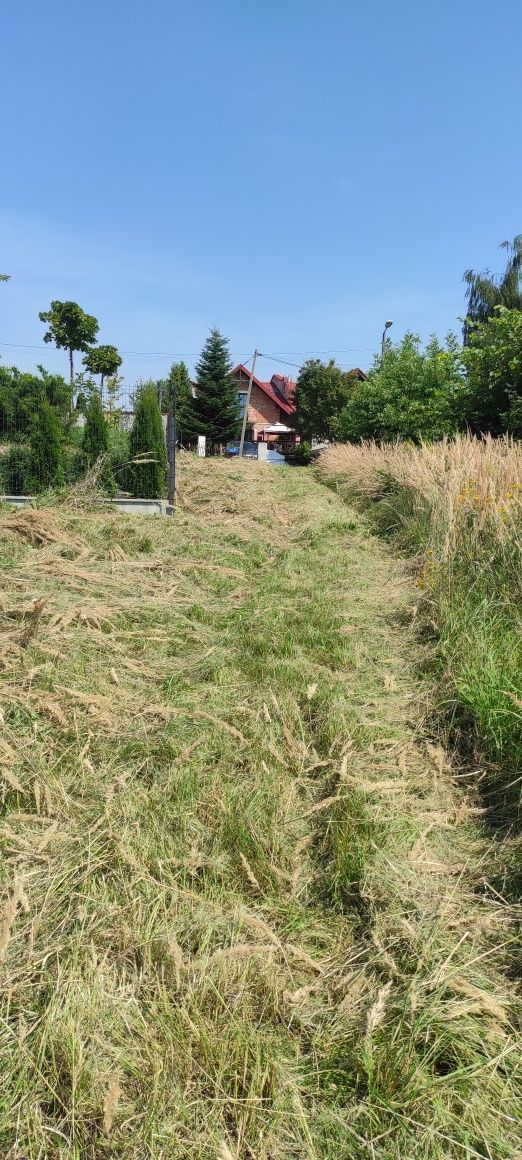 Koszenie traw i nieużytków