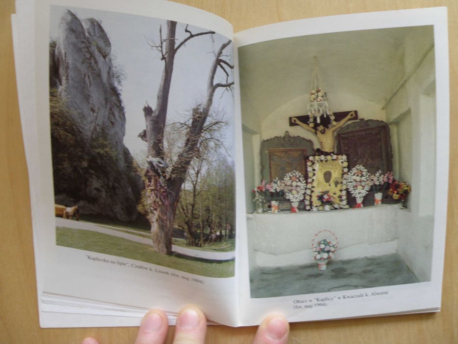 Przy drogach wśród pól w kolekcjach - Współczesna sztuka ludowa