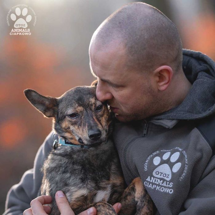 Nieśmiała Dusia czeka na spokojny dom! OTOZ Animals Ciapkowo
