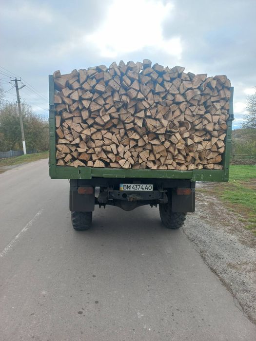 Дрова пород дуб и ясень