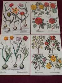 Kwiaty XVIII w. do aranażacji wnętrza - reprint