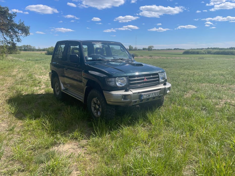 Pajero krótka wersja