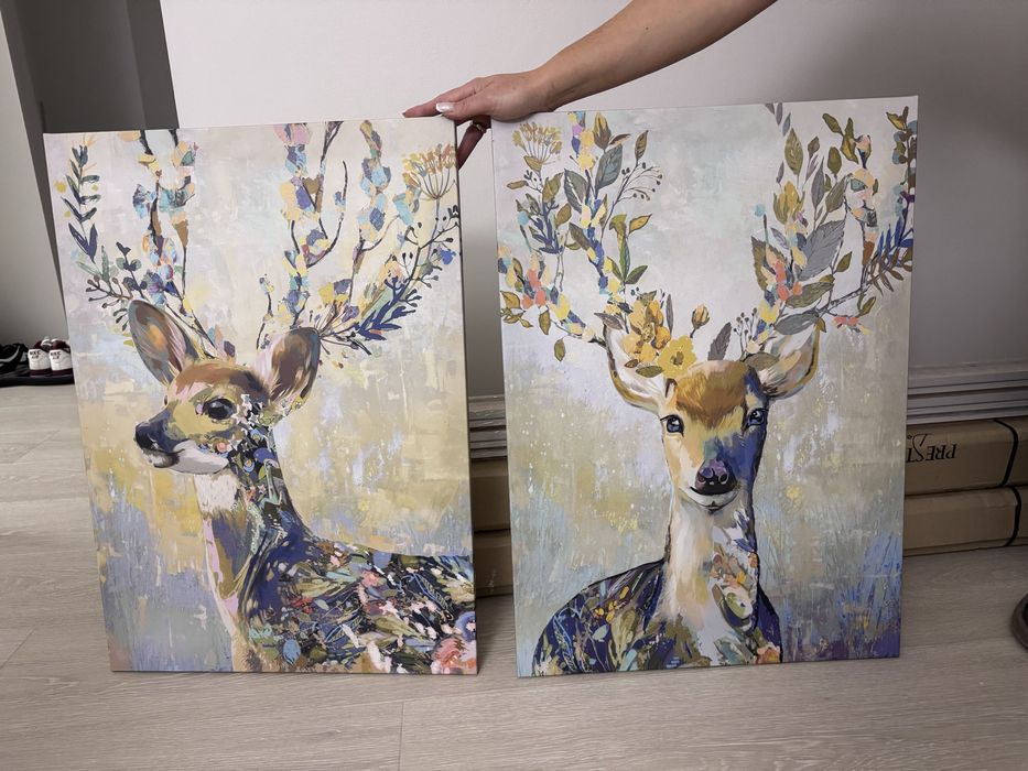 Obrazy, jelonki, kolorowe obrazy