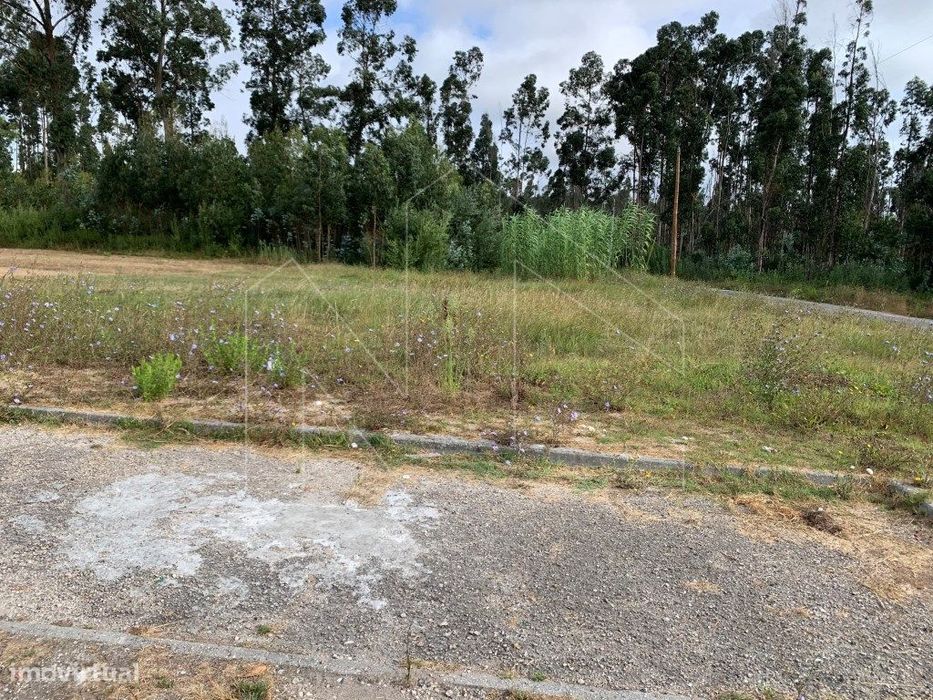 Lote de Terreno Urbano em Oliveirinha