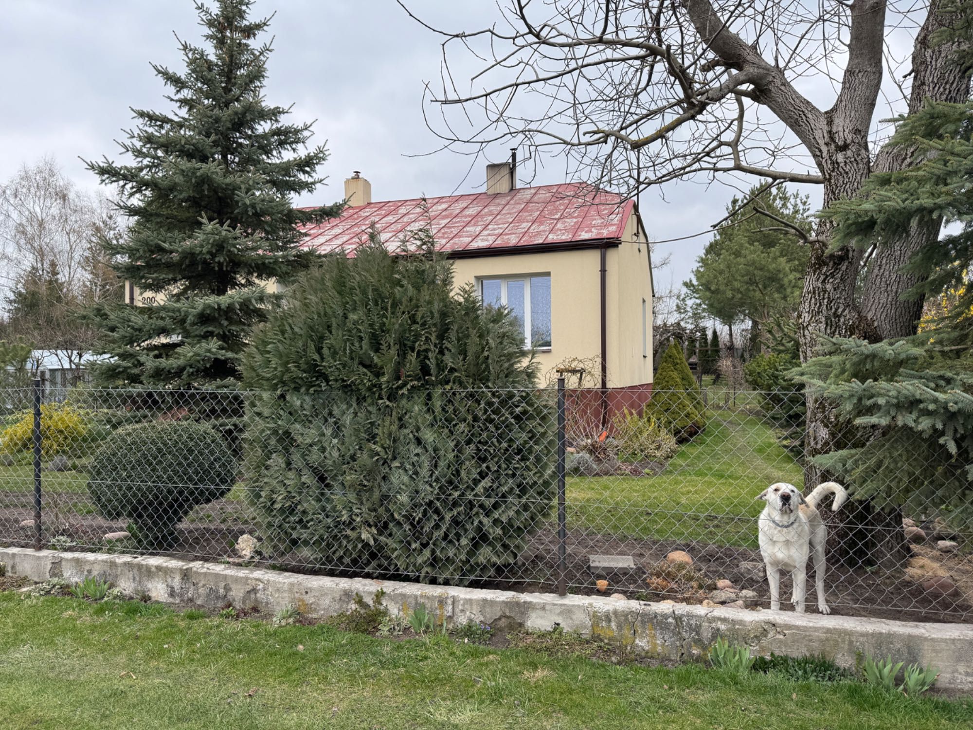 Sprzedam dom w Rejowcu Fabrycznym