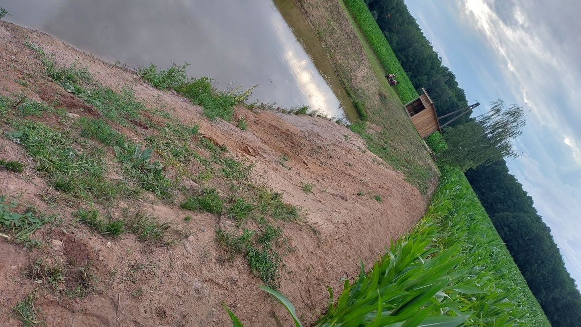 Oddam  w zamian  za wykonanie  i pogłębienie stawu