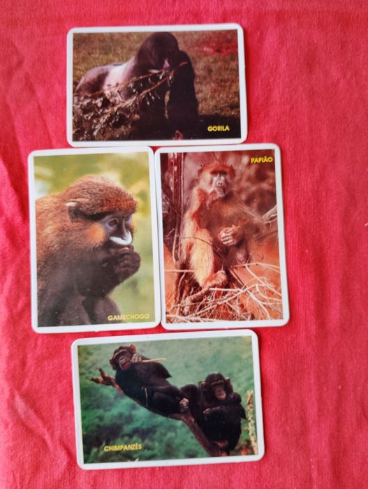 Calendários de bolso 1993