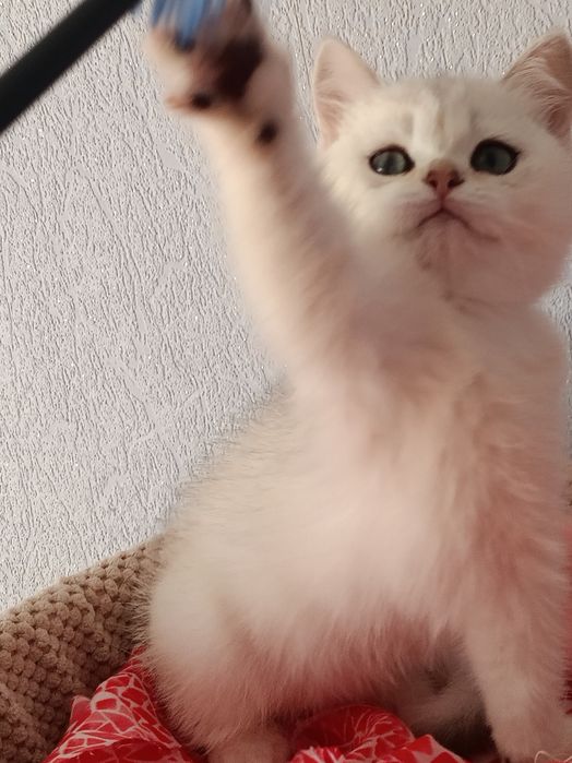 Пухнастий антистресик