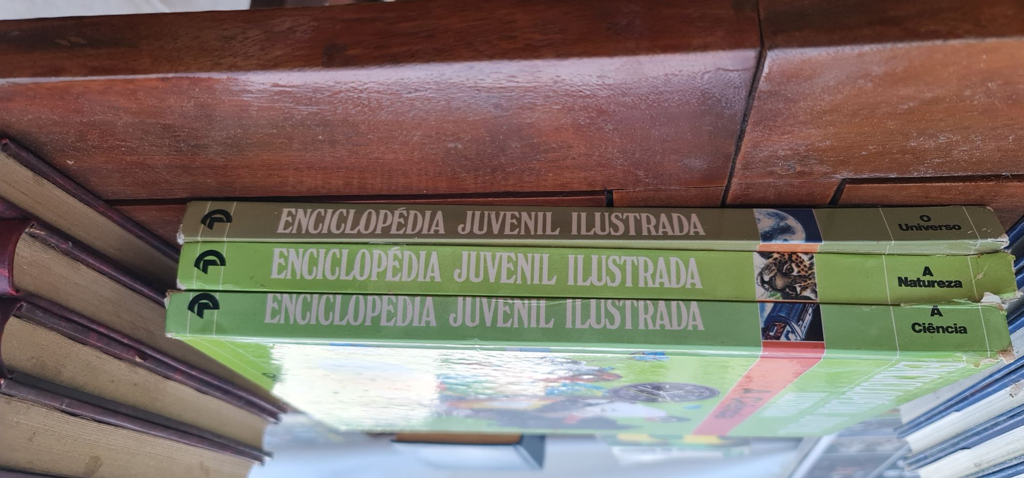 Enciclopedia juvenil ilustrada 3 livros