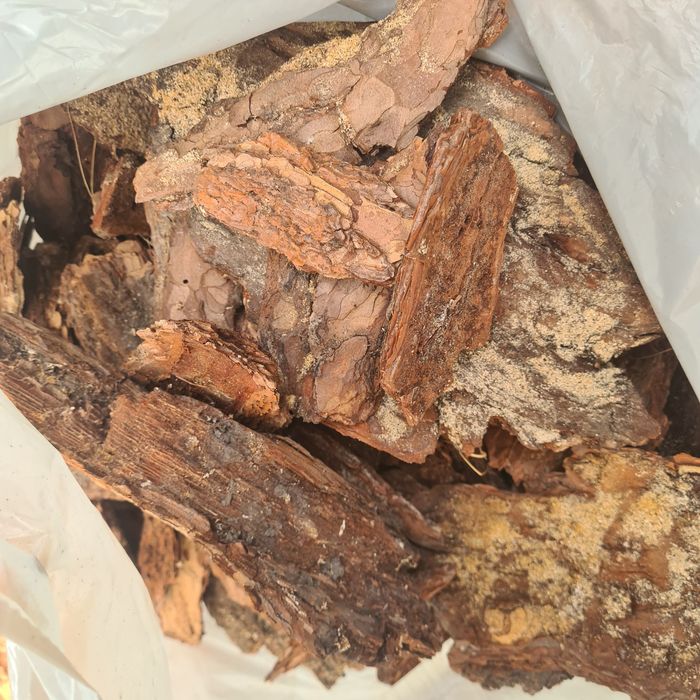 Kora sosnowa gruba frakcja 60 l