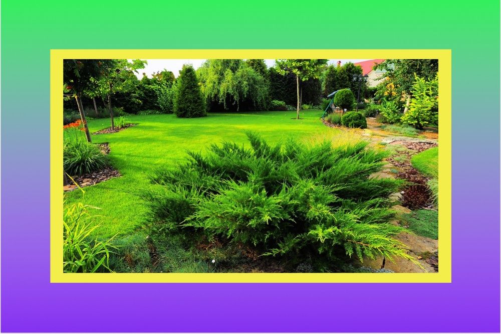 Ландшафтный дизайн в Днепре/области под ключ, все участки.