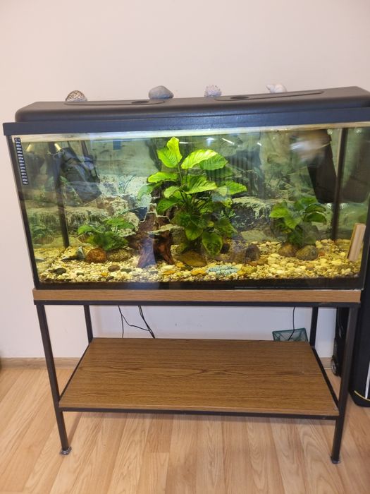 Akwarium 200l z wyposażeniem