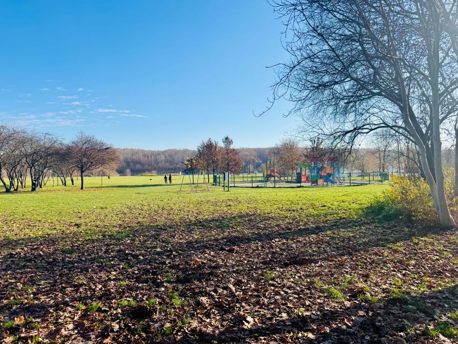 Wynajem mieszkanie Katowice centrum śródmieście 3 stawy bez pośred2pok